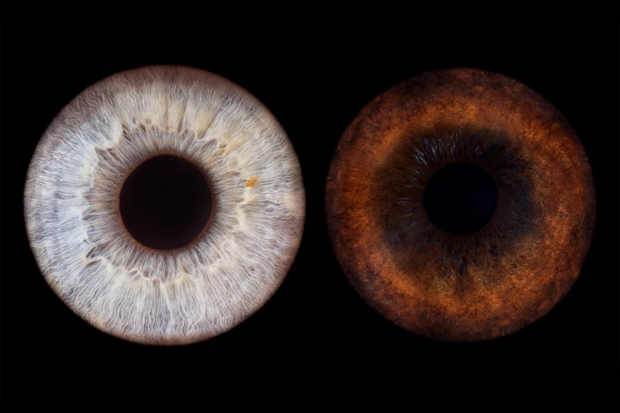 Foto der Irisfotografie